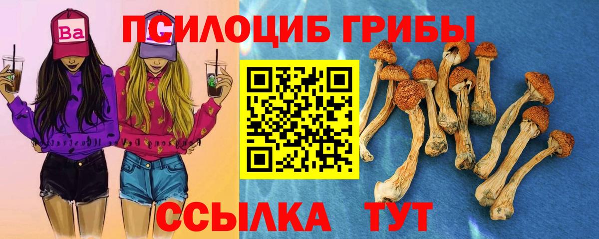 Гусь-Хрустальный  Галлюциногенные грибы мицелий  даркнет сайт  Вход с VPN 